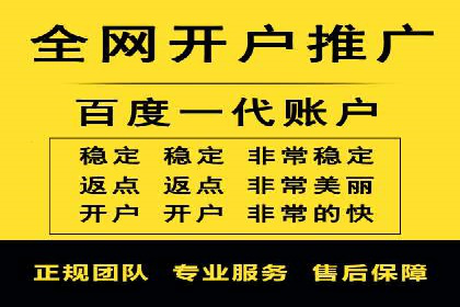 成功SEM托管案例：流量与转化双赢